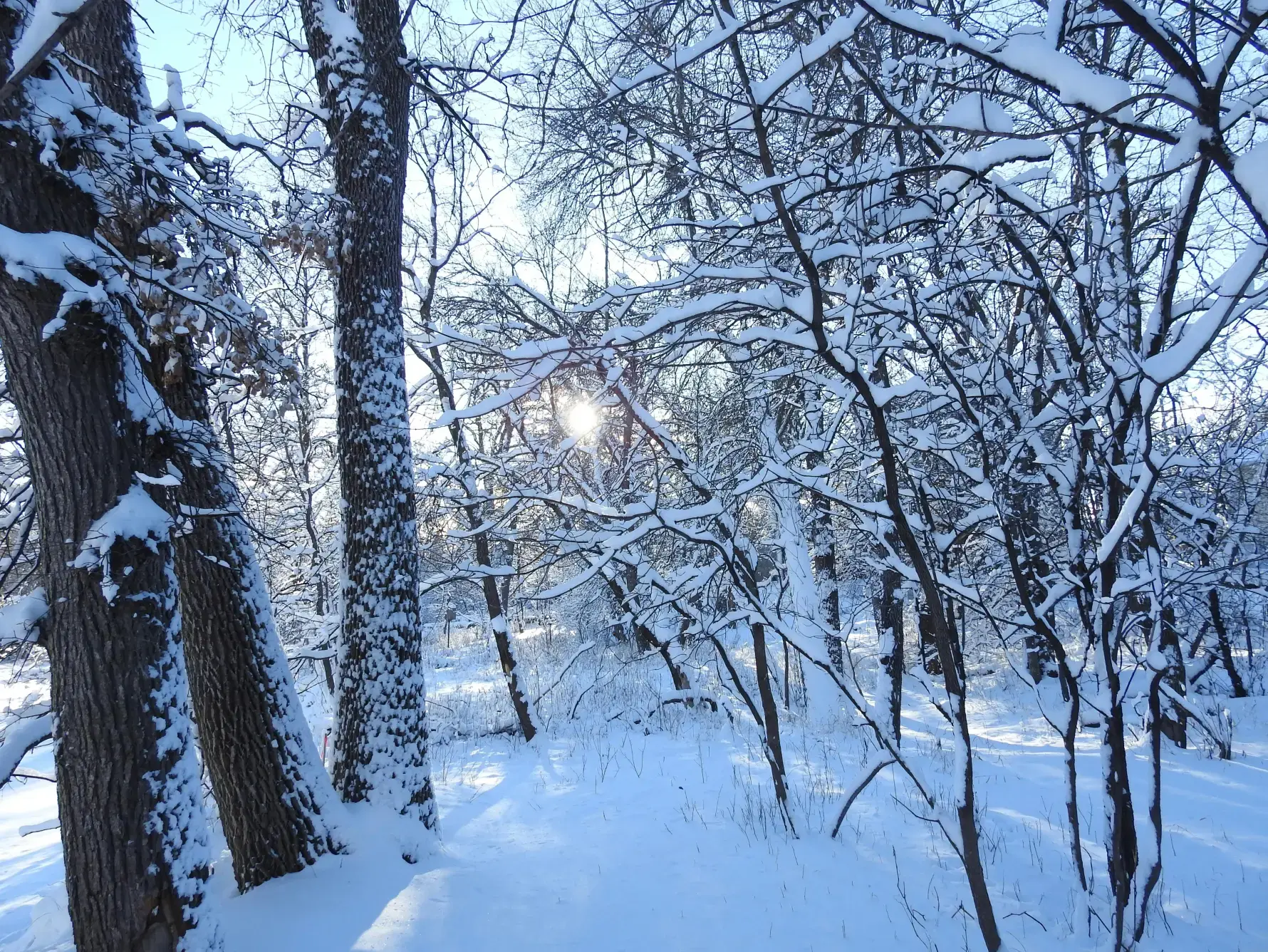feature image